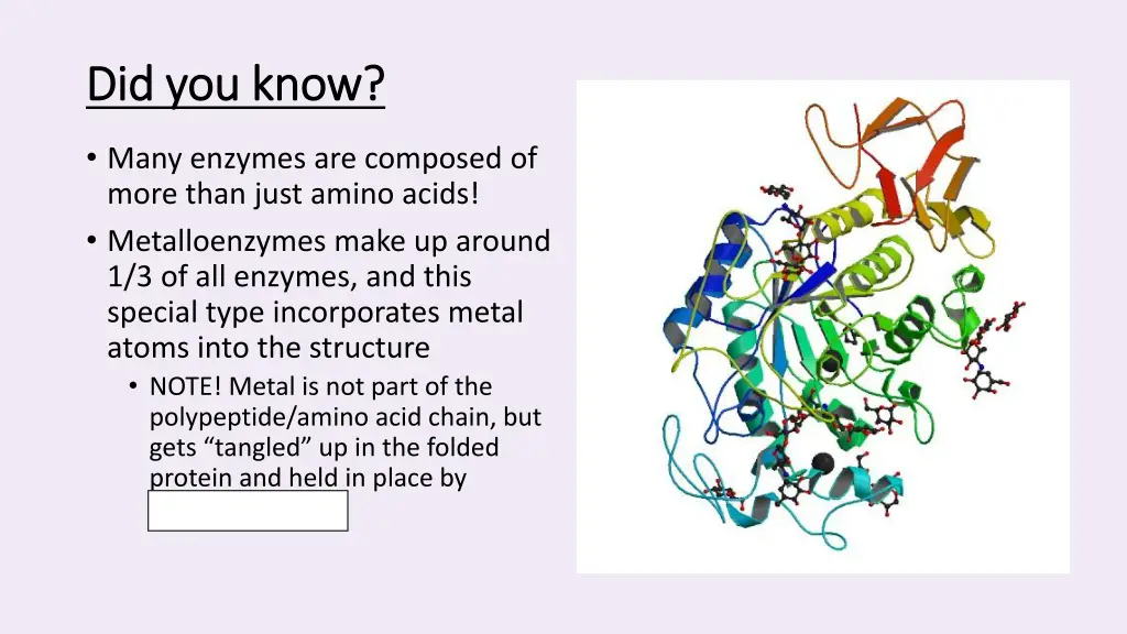 did you know did you know