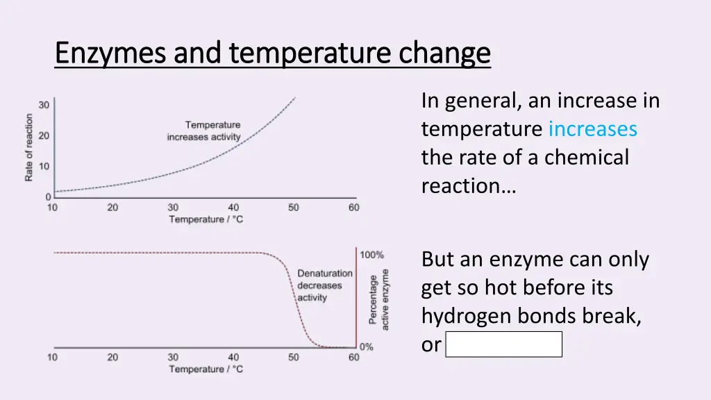 enzymes and temperature change enzymes