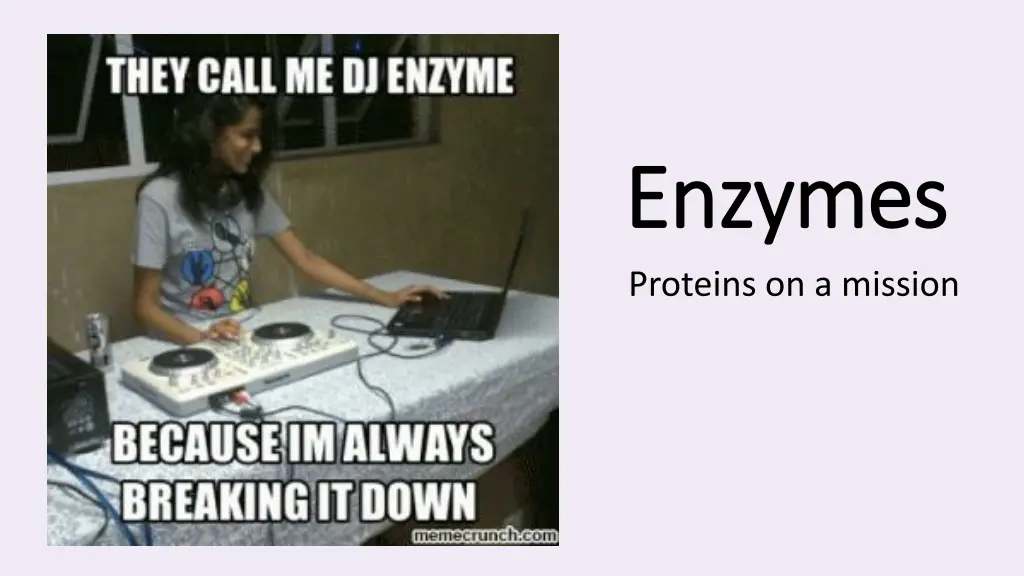 enzymes enzymes proteins on a mission