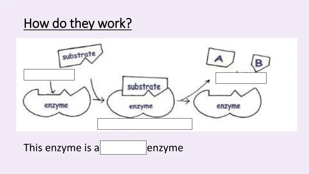 how do they work how do they work