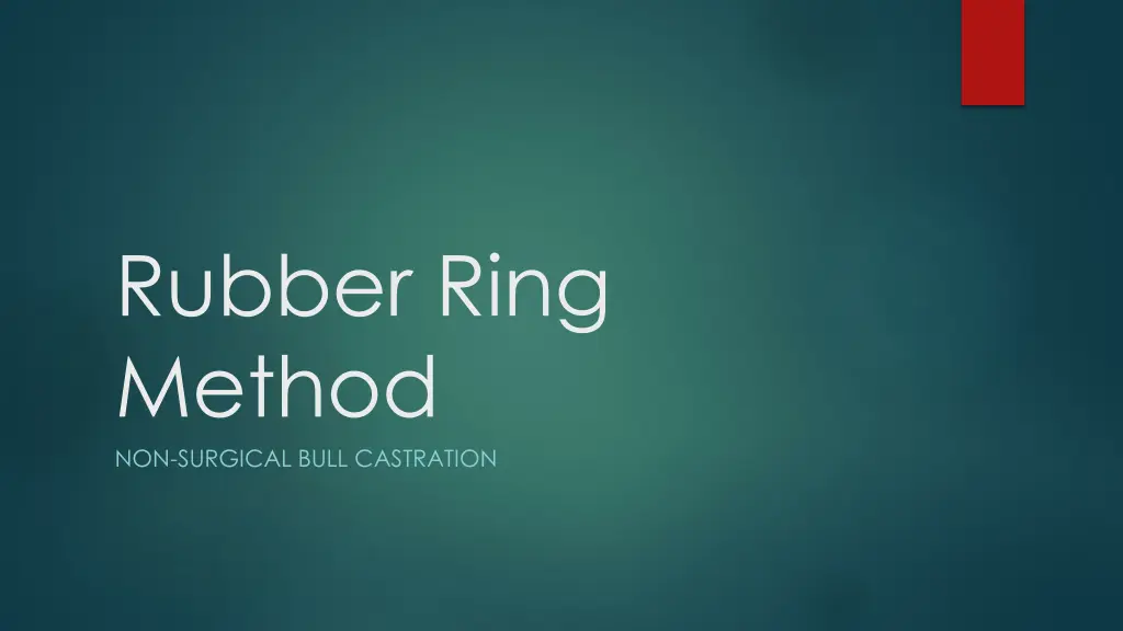 rubber ring method non surgical bull castration