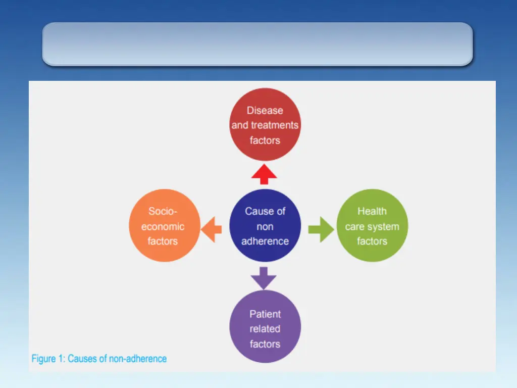 slide17