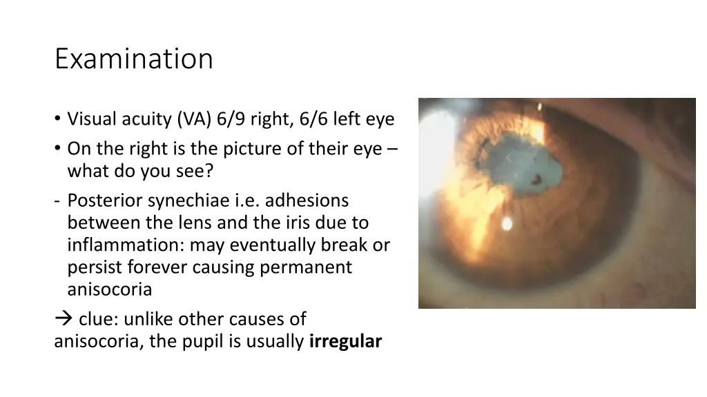 examination