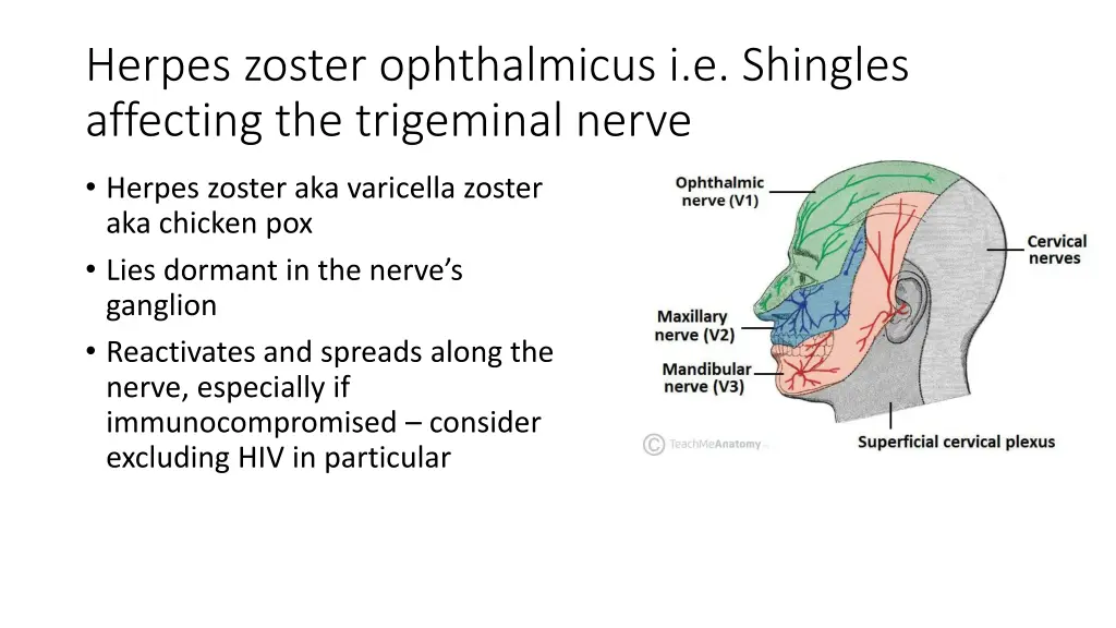 herpes zoster ophthalmicus i e shingles affecting