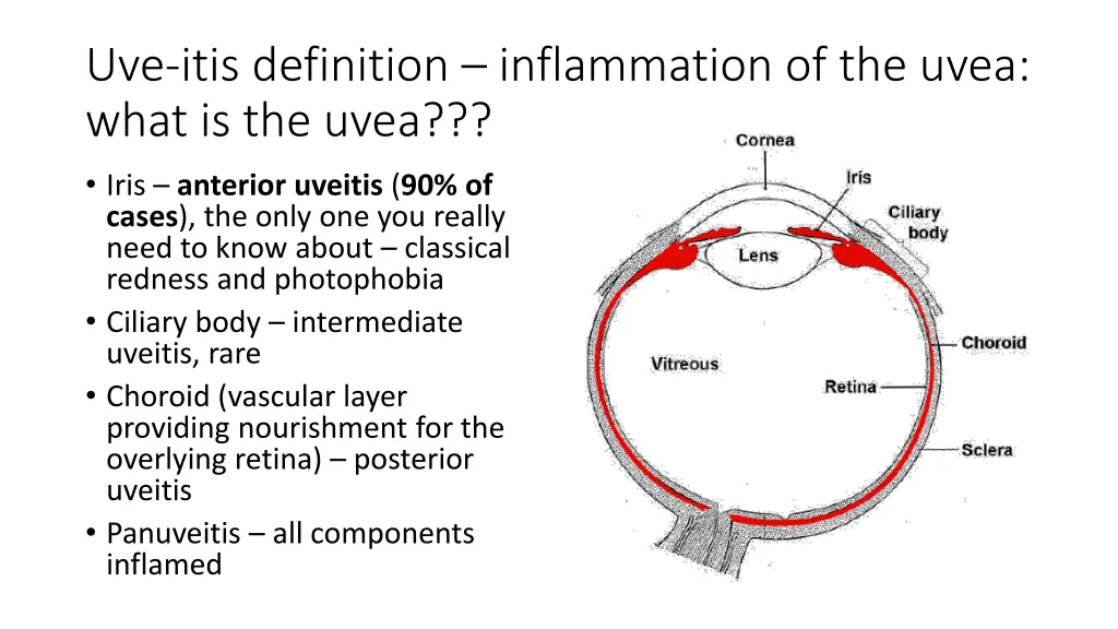 uve itis definition inflammation of the uvea what