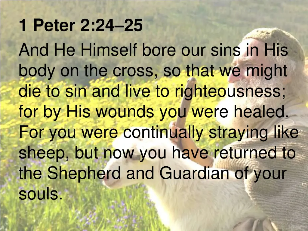 1 peter 2 24 25 and he himself bore our sins