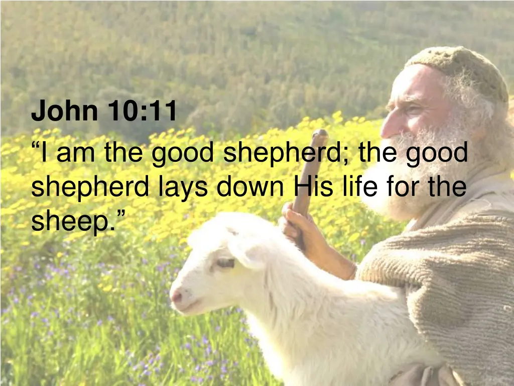 john 10 11 i am the good shepherd the good