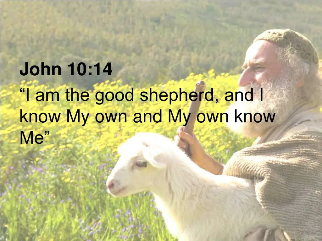 john 10 14 i am the good shepherd and i know
