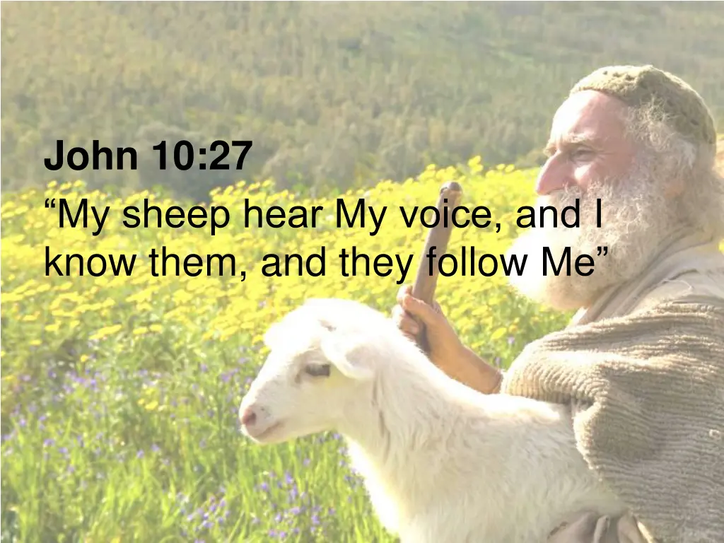 john 10 27 my sheep hear my voice and i know them