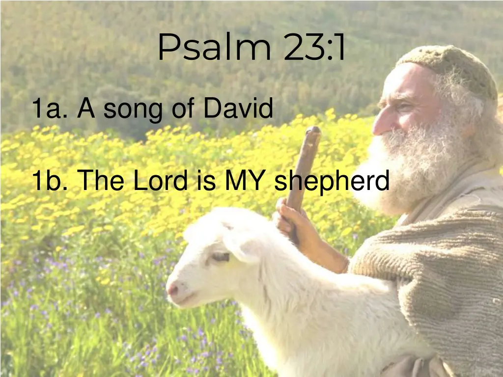 psalm 23 1