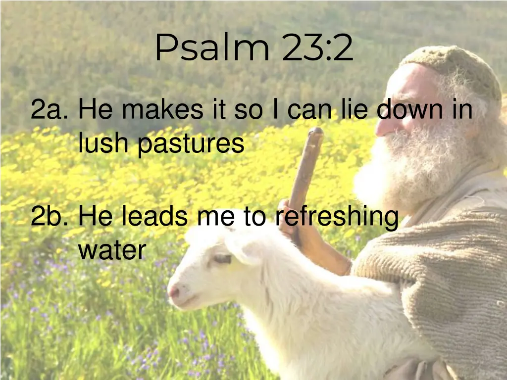 psalm 23 2 1