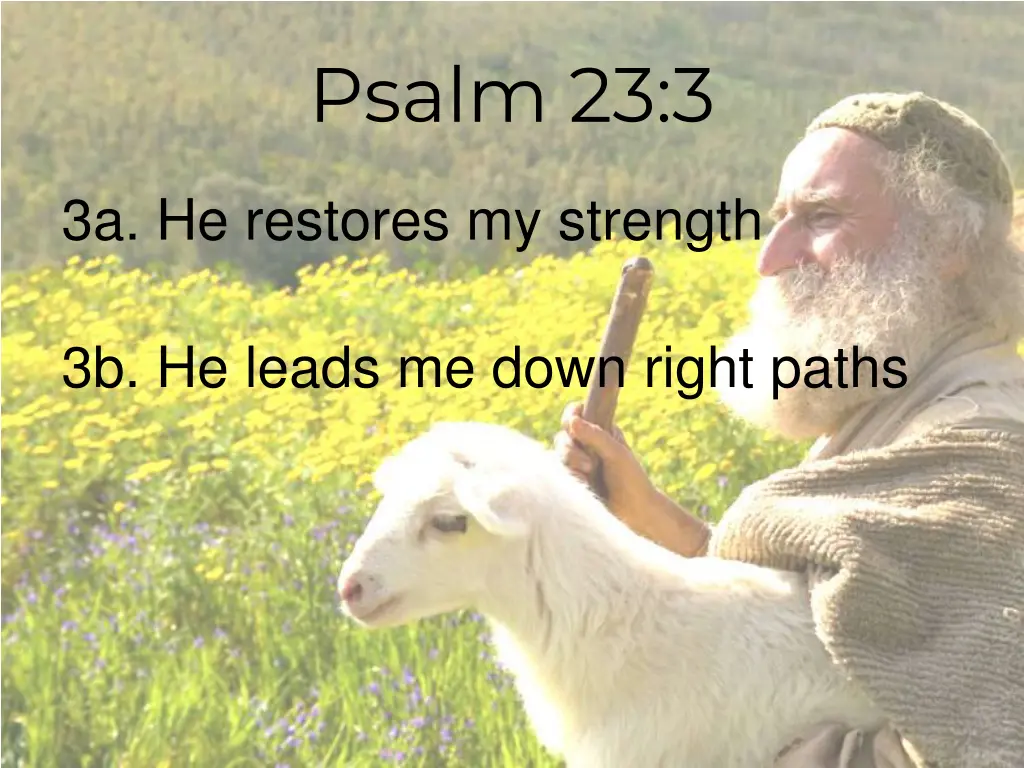 psalm 23 3 1