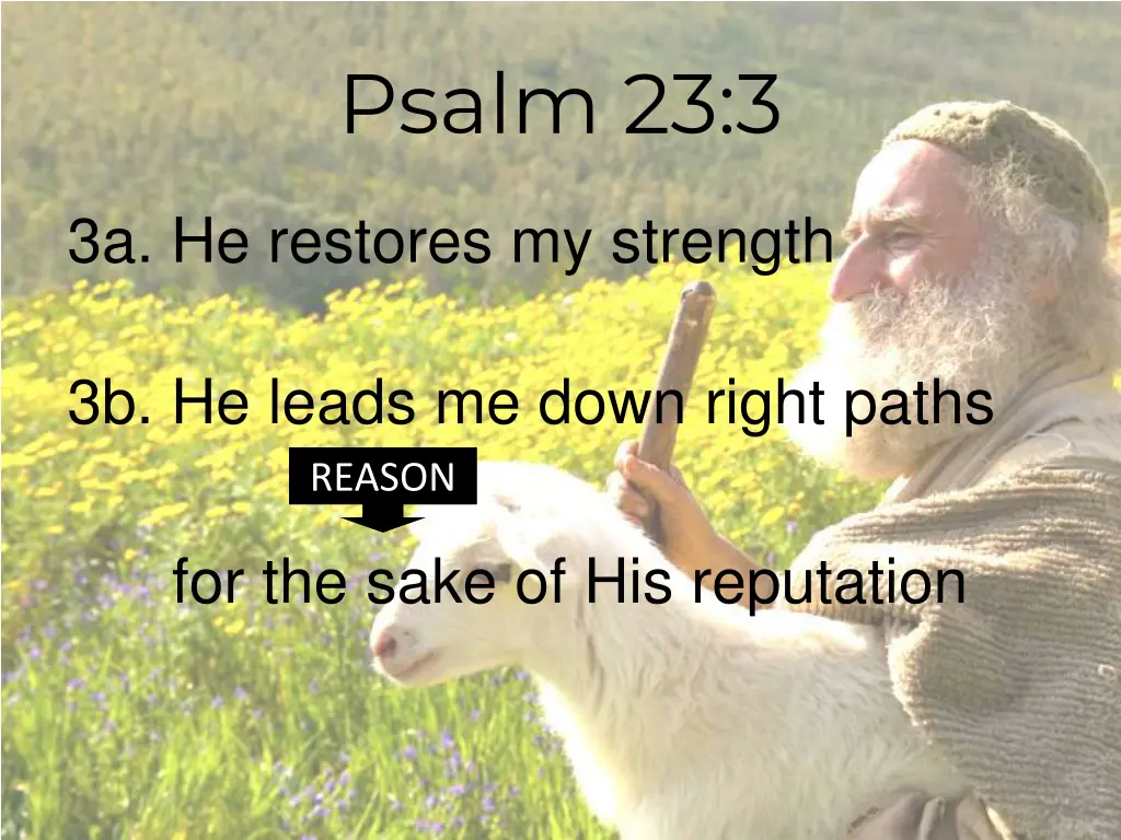psalm 23 3 2