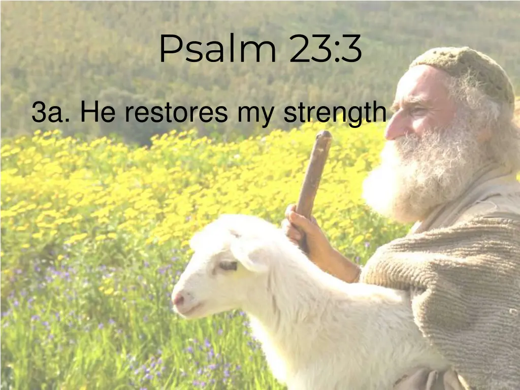 psalm 23 3