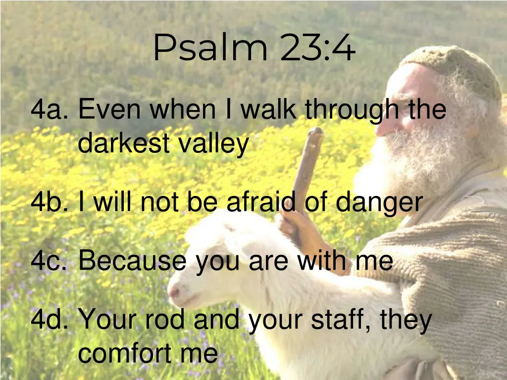 psalm 23 4