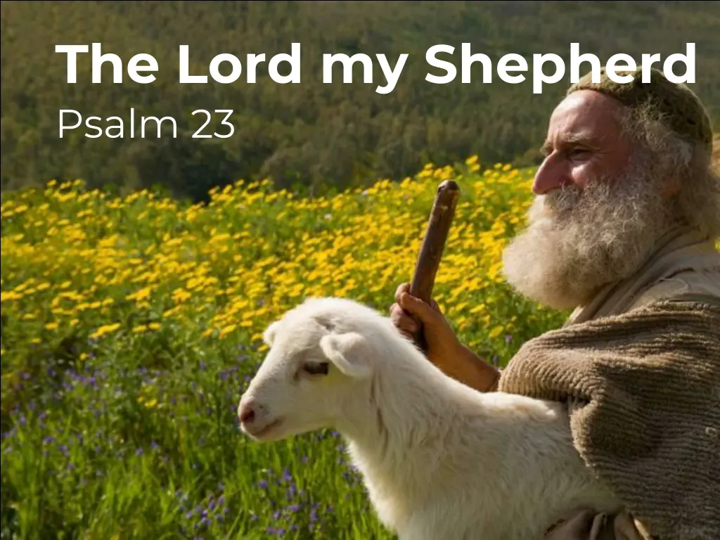 the lord my shepherd psalm 23 1