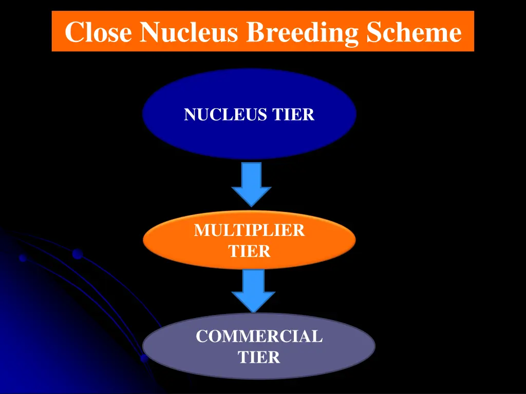 close nucleus breeding scheme