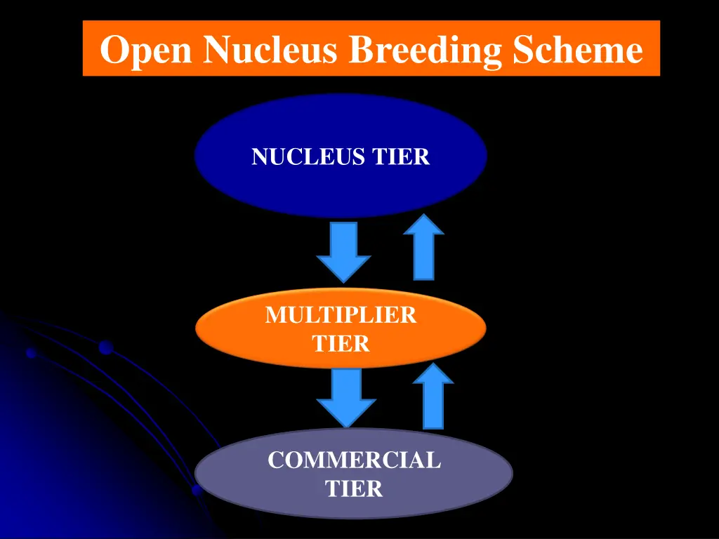 open nucleus breeding scheme 1