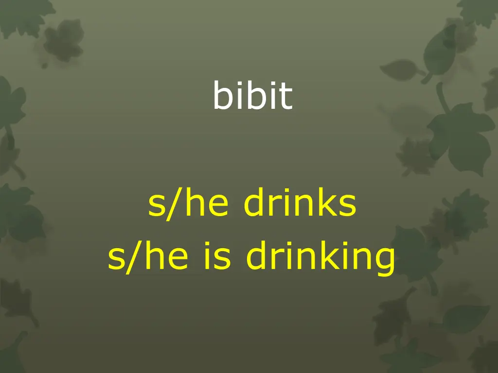 bibit