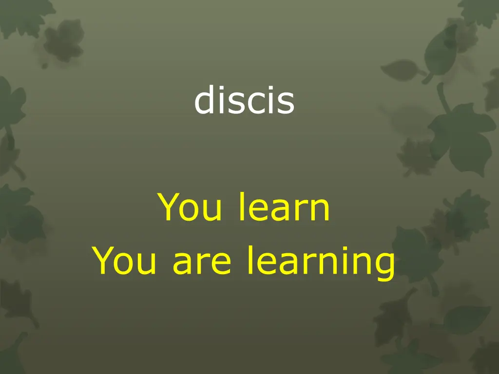 discis
