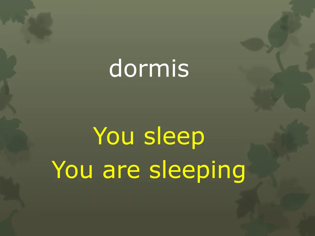 dormis
