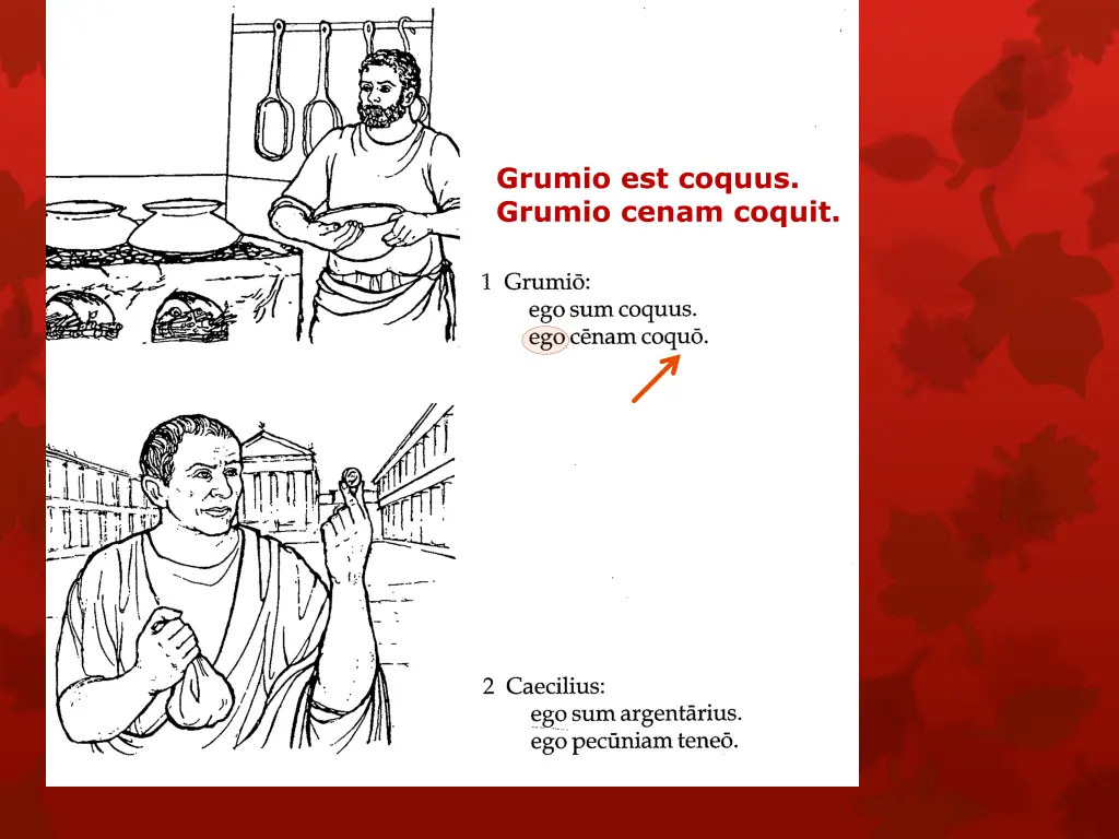 grumio est coquus grumio cenam coquit