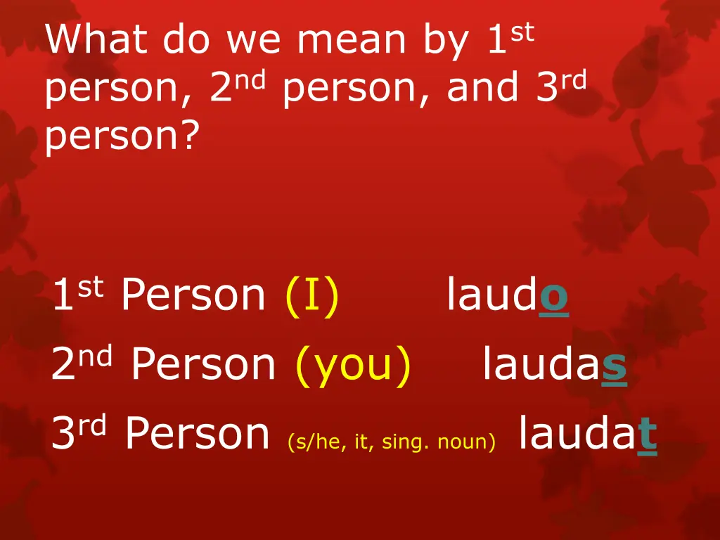 what do we mean by 1 st person 2 nd person