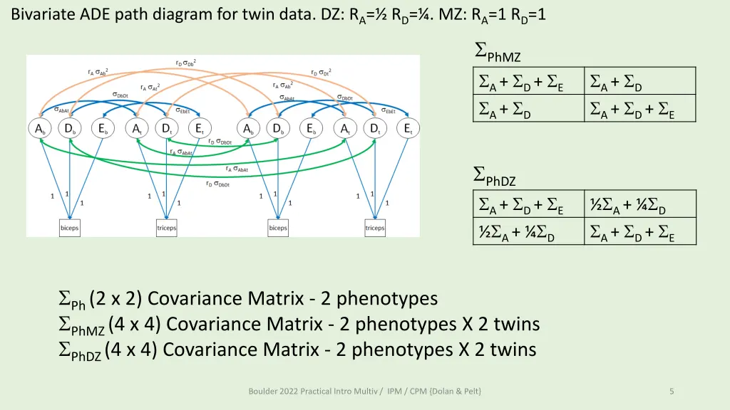 bivariate ade path diagram for twin data