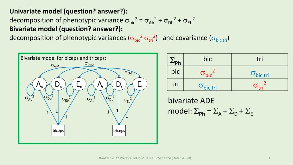 univariate model question answer decomposition