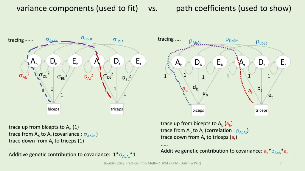 variance components used to fit vs path 1