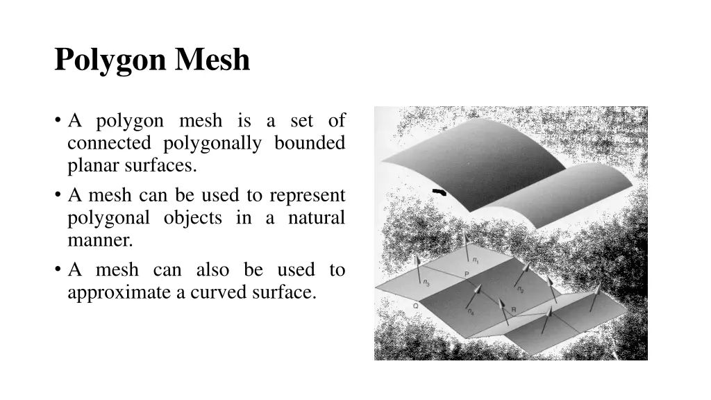 polygon mesh