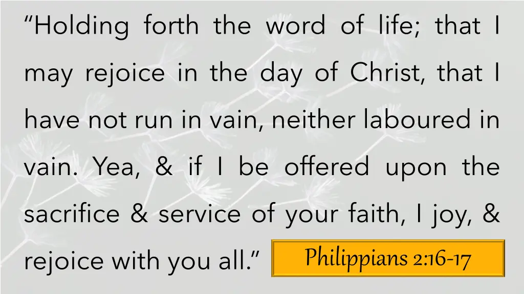 holding forth the word of life that i
