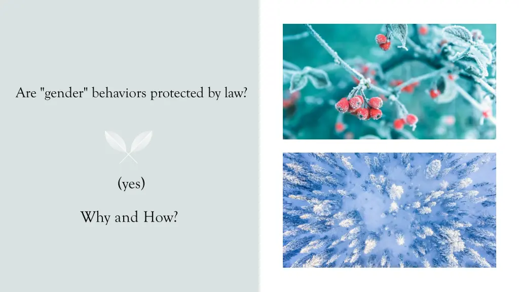 are gender behaviors protected by law