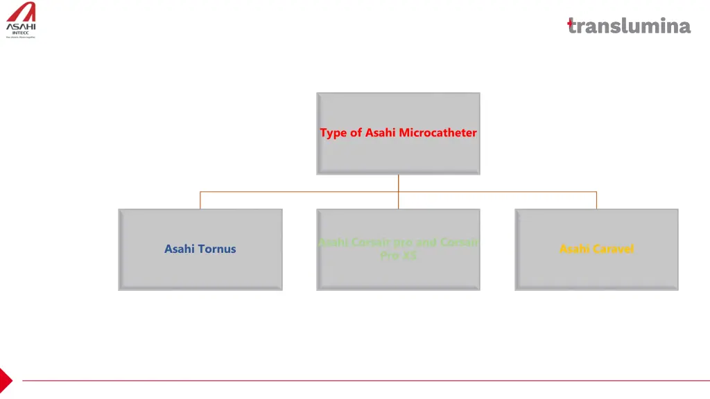 type of asahi microcatheter