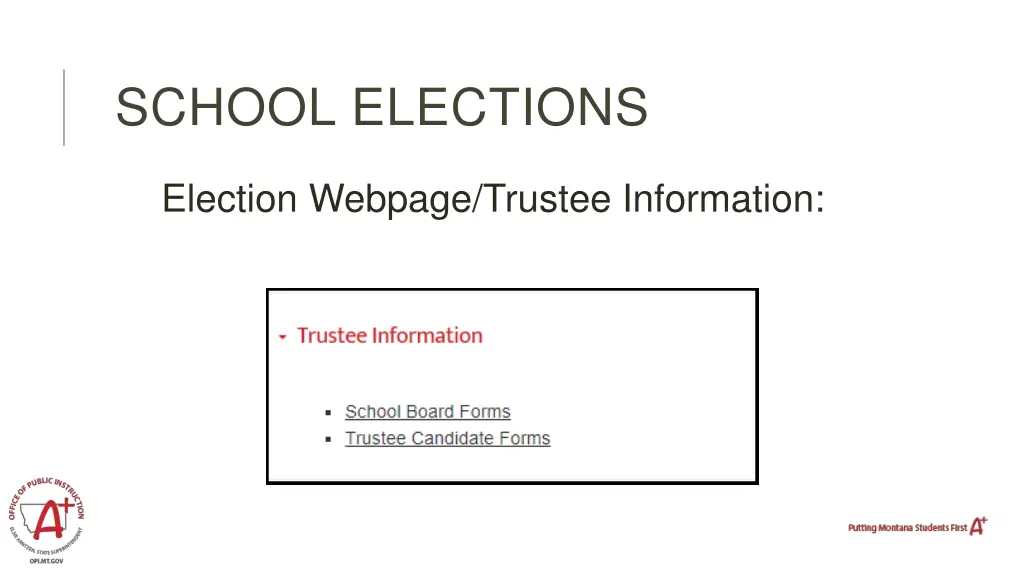 school elections 11