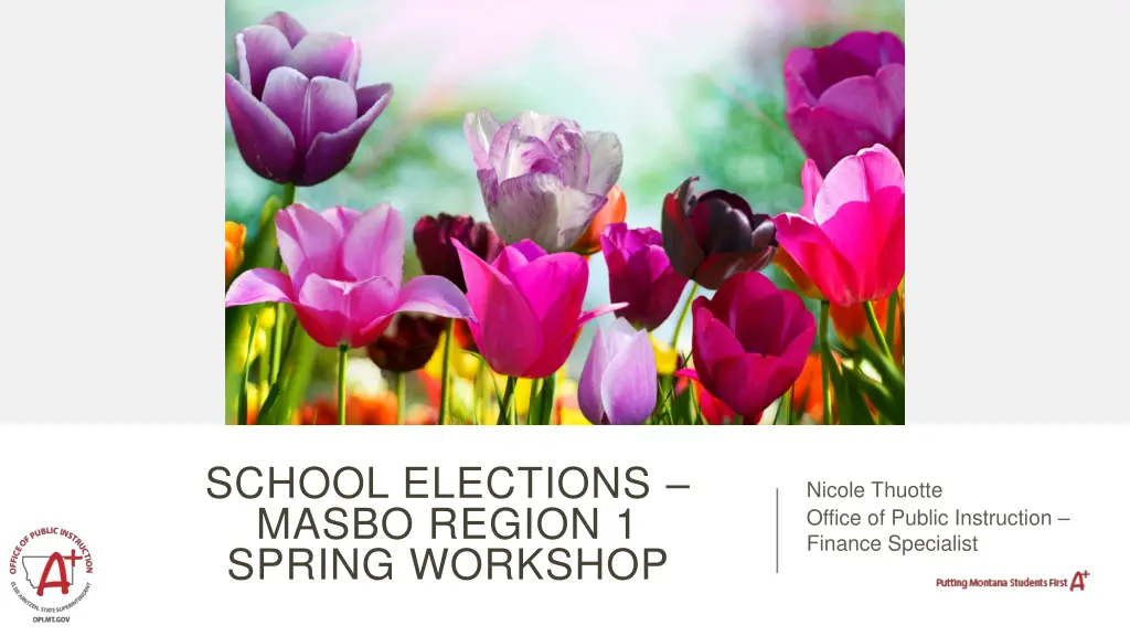 school elections masbo region 1 spring workshop