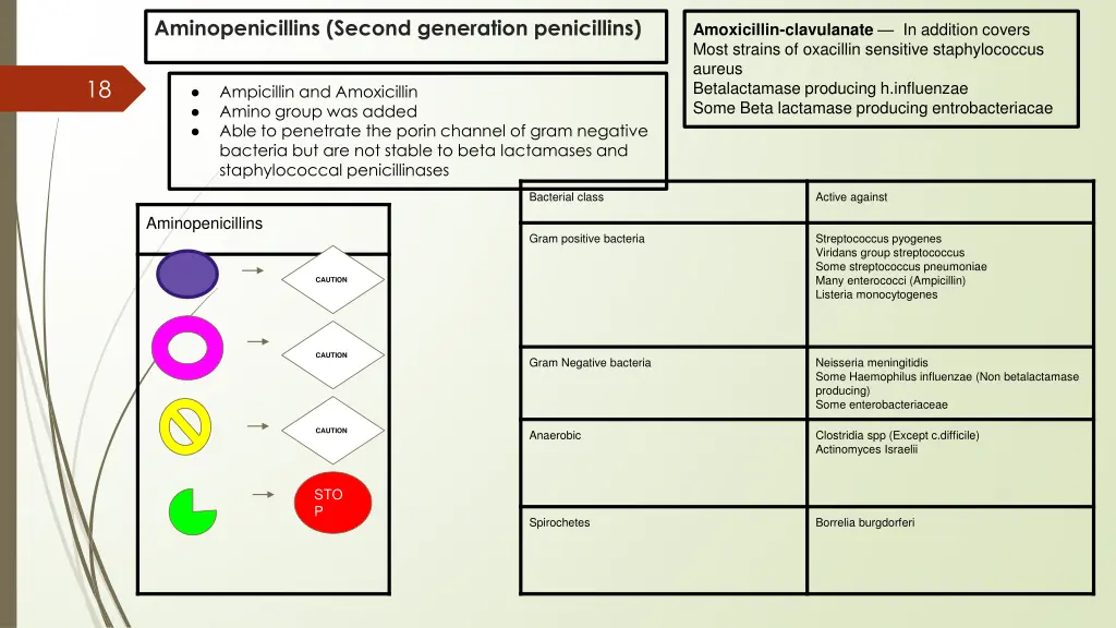 aminopenicillins second generation penicillins