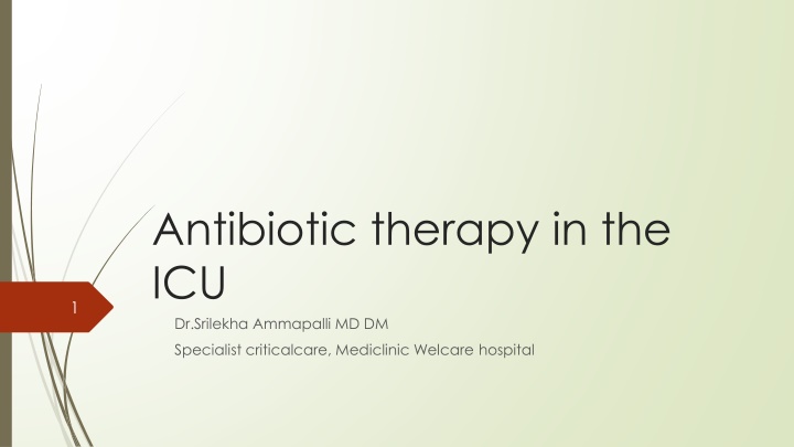 antibiotic therapy in the icu dr srilekha