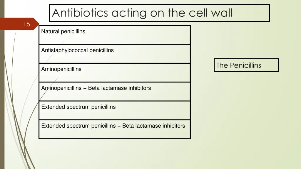 antibiotics acting on the cell wall