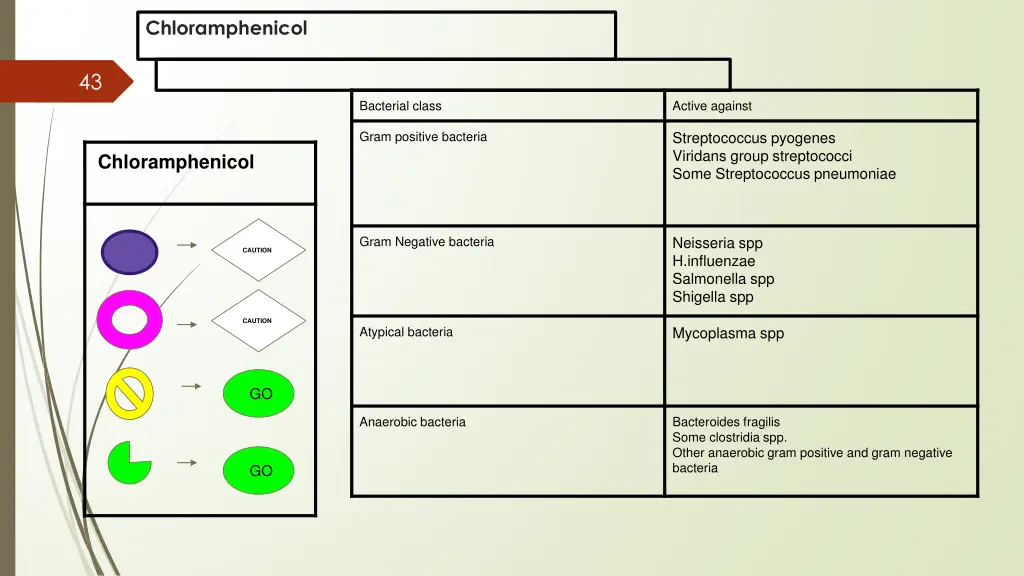 chloramphenicol