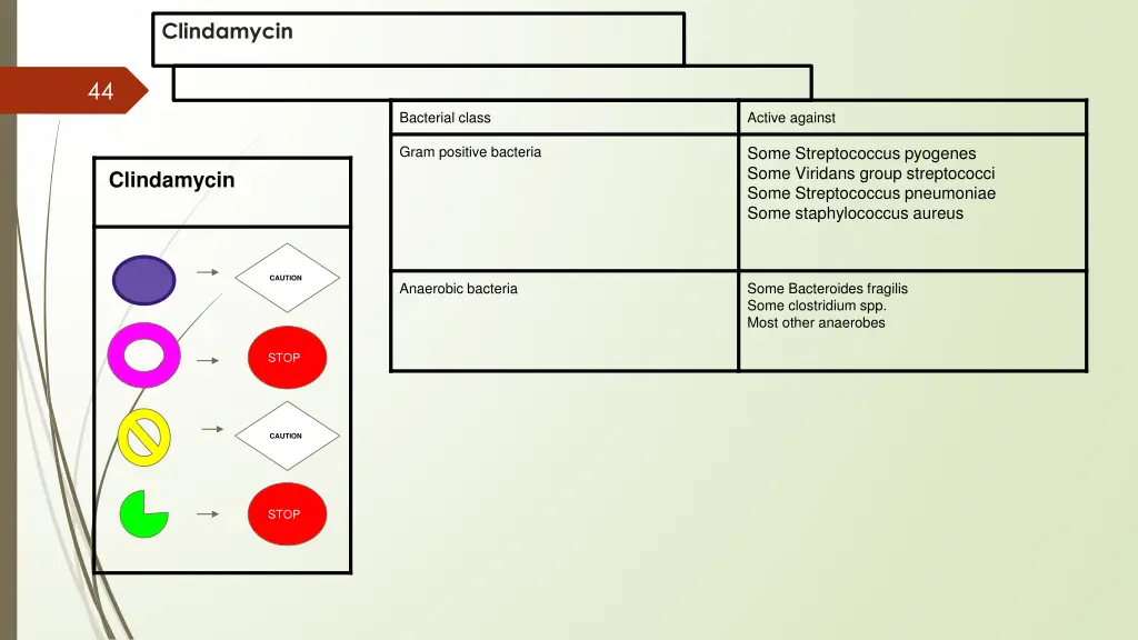 clindamycin