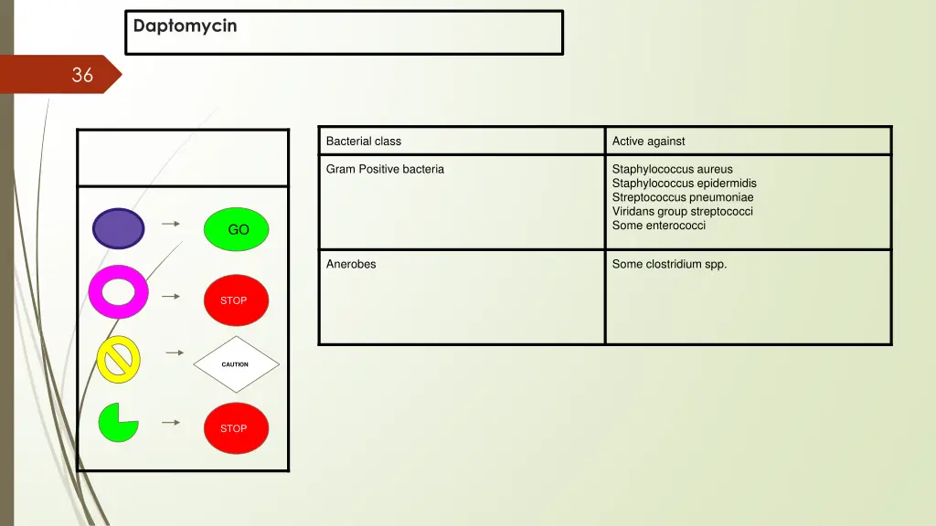 daptomycin