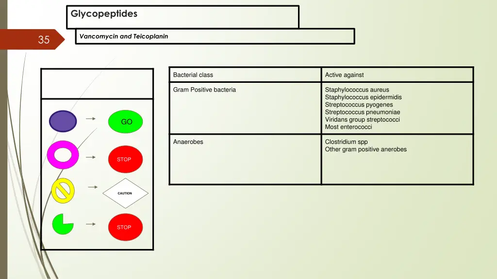 glycopeptides