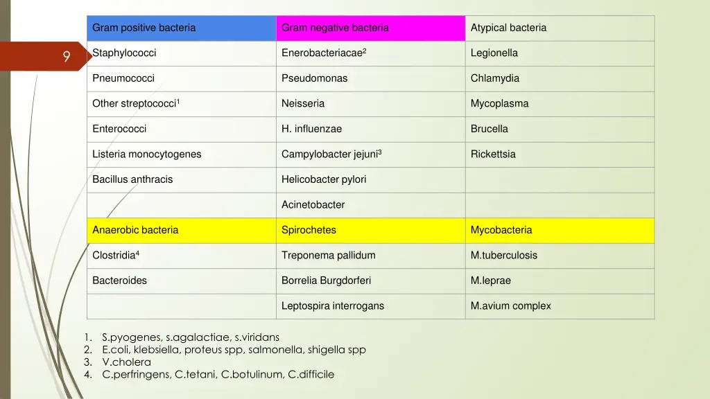 gram positive bacteria