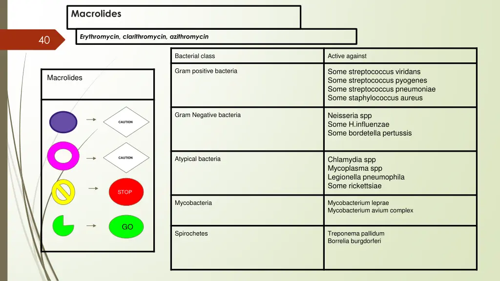 macrolides