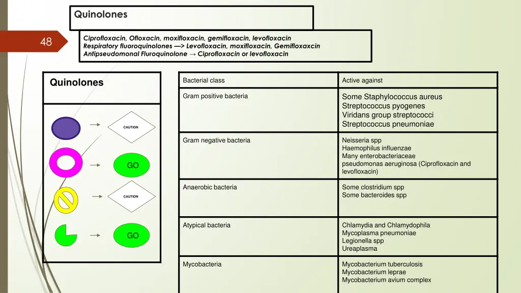 quinolones