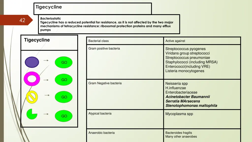 tigecycline