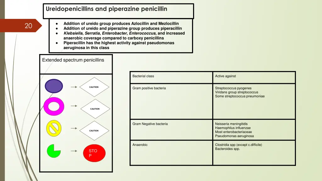 ureidopenicillins and piperazine penicillin