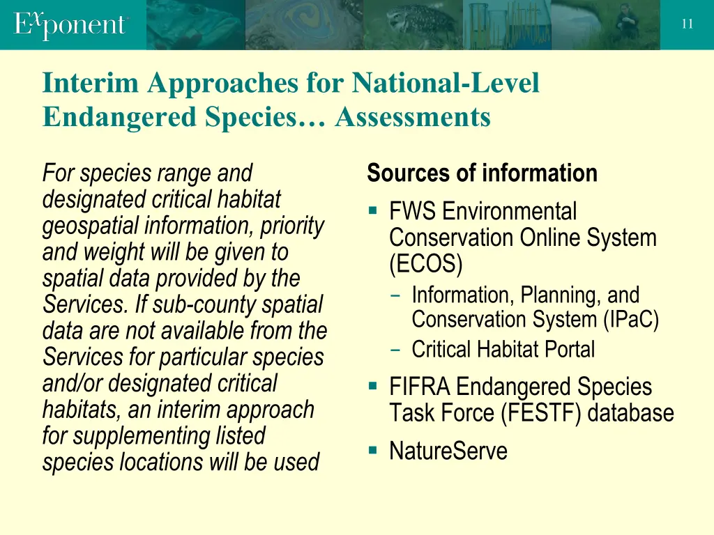 slide11