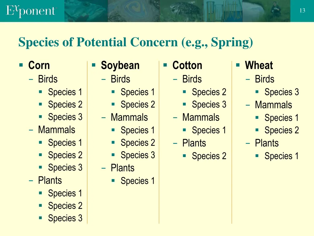 slide13